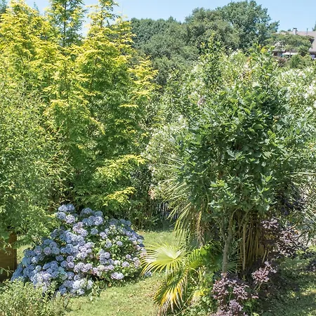 Le Sur Pilotis Lodge Fichous-Riumayou